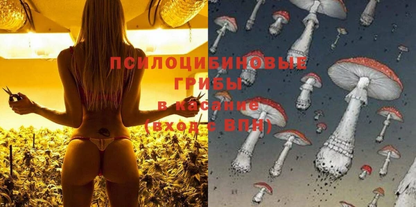 ешки Красноперекопск