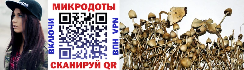 Псилоцибиновые грибы Psilocybe  darknet клад  Нариманов 
